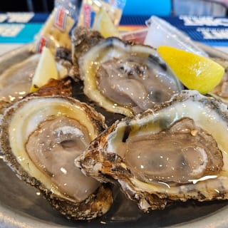 6 Raw Oysters